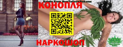 гидропоника Пугачёв