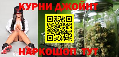 гидропоника Пугачёв